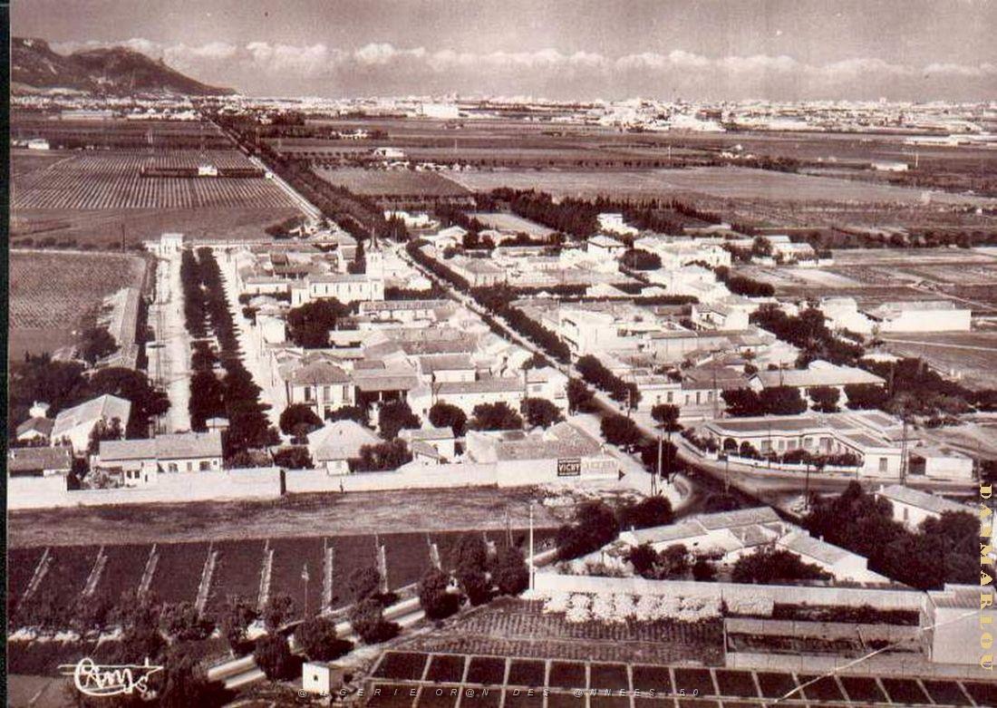 La Senia 062.jpg